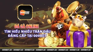 Đá gà online tìm hiểu trận đấu đẳng cấp