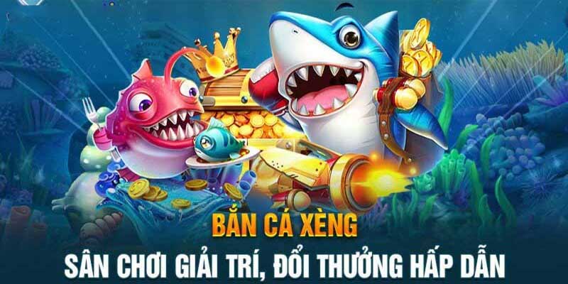 Bancaxeng sân chơi giải trí số 1